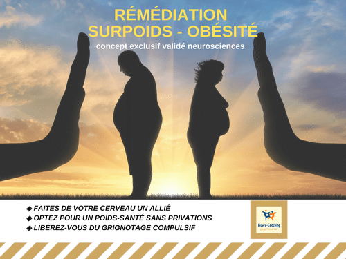 Remédiation Surpoids-Obésité_Formation_500x375